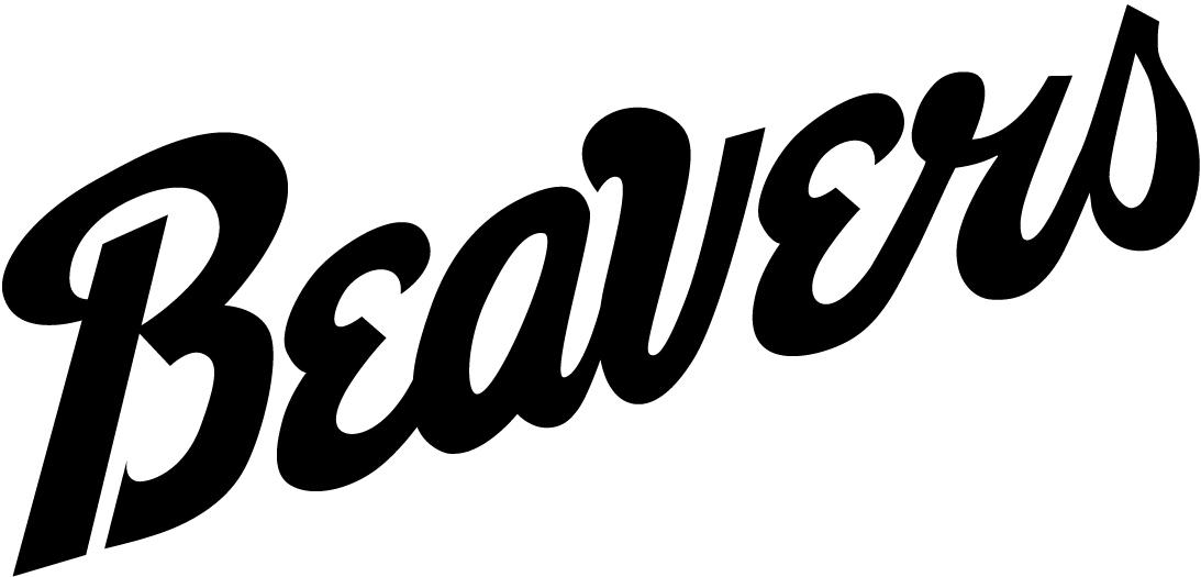 Bemidji State Beavers 2004-Pres Wordmark Logo t shirts iron on transfers v2